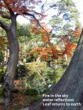 leaf-returns