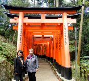 lynfushimi