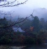 misty