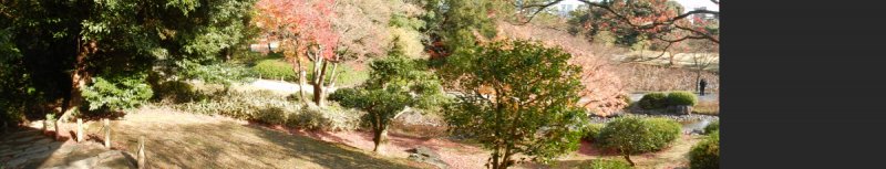 DSCN3129