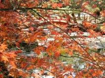 DSCN3151