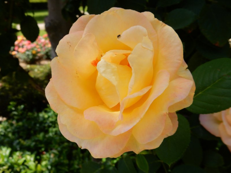 DSCN1741