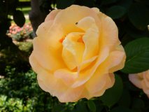 DSCN1741