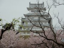 1_DSCN0265