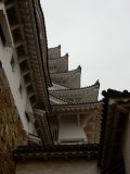 1_DSCN0291