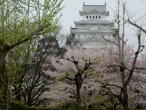 DSCN0264