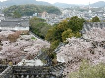 DSCN0294