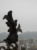 DSCN0310
