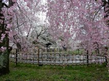 DSCN0374