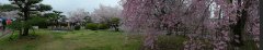 DSCN0376