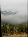DSCN0427