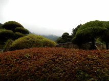 DSCN0760