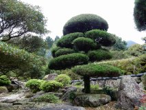 DSCN0761