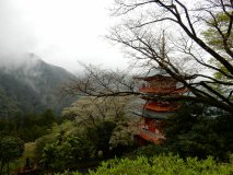 DSCN0842