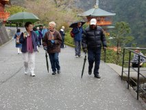 DSCN0848