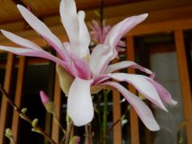 DSCN0997