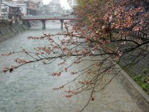 DSCN1305