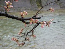 DSCN1313