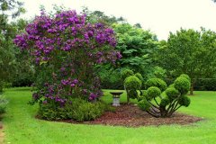 2018 Gosford Gardens *15