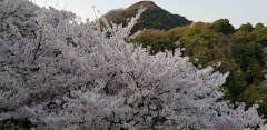 20180402_171429