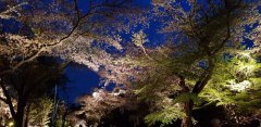 20180405_184907
