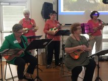 24-Ukulele