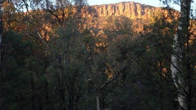 08-THE-WALLS-OF-WILPENA-POUND