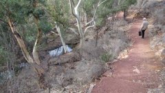 1_06-THE-HILLS-HOMESTEAD-WALK-AT-WILPENA-POUND