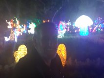 20211114_200932