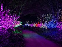 IMG_0075