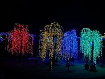 IMG_0076