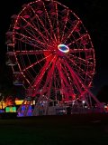 IMG_0087