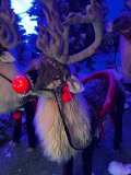 IMG_0093