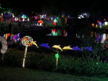 IMG_0105
