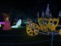 IMG_0113