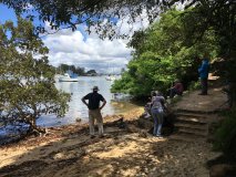 bushwalk-2