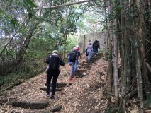 bushwalk-4