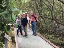bushwalk-5