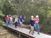 bushwalk-6