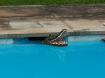 IMG_20220422_122032